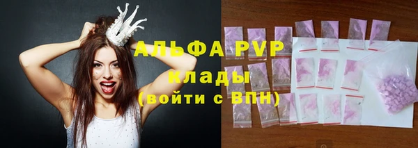 амф Липки
