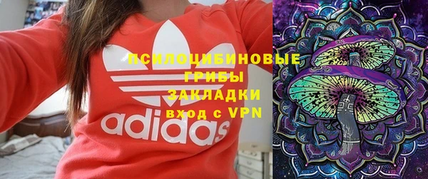 амф Липки