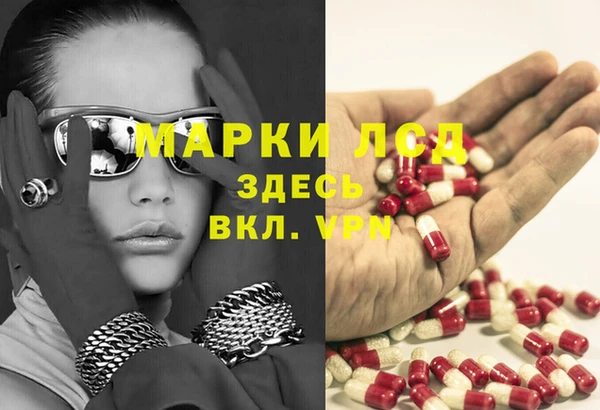 амф Липки