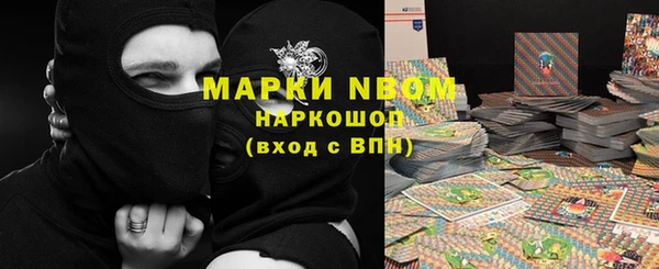 амф Липки