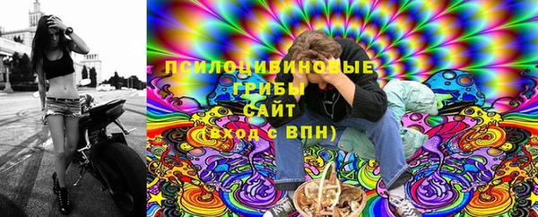 индика Лиски