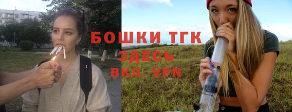 амф Липки