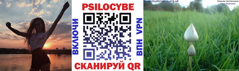Галлюциногенные грибы Magic Shrooms  маркетплейс наркотические препараты  Хвалынск 