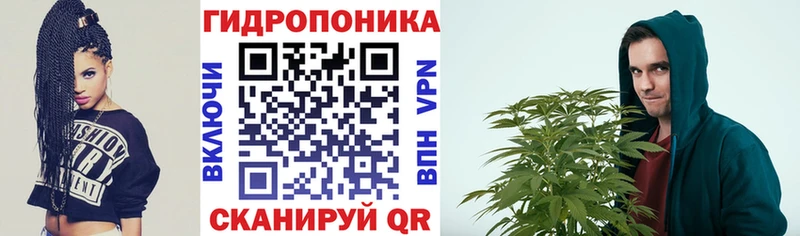 Бошки Шишки THC 21% Хвалынск